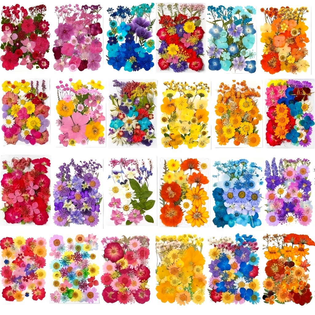 500pcs of Random Materials for - Nail Art Natural ulasan dan harga