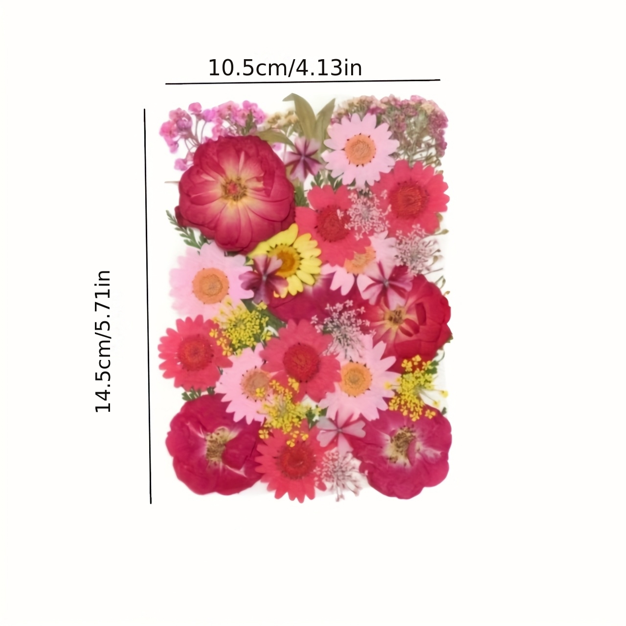 500pcs of Random Materials for - Nail Art Natural ulasan dan harga