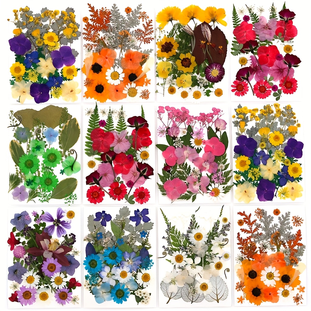 500pcs of Random Materials for - Nail Art Natural ulasan dan harga