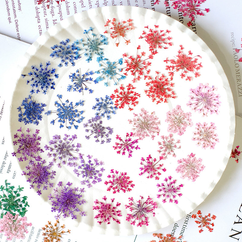 24pcs,2-2.5cm,nature Dyed Mini - Nail Art Natural ulasan dan harga