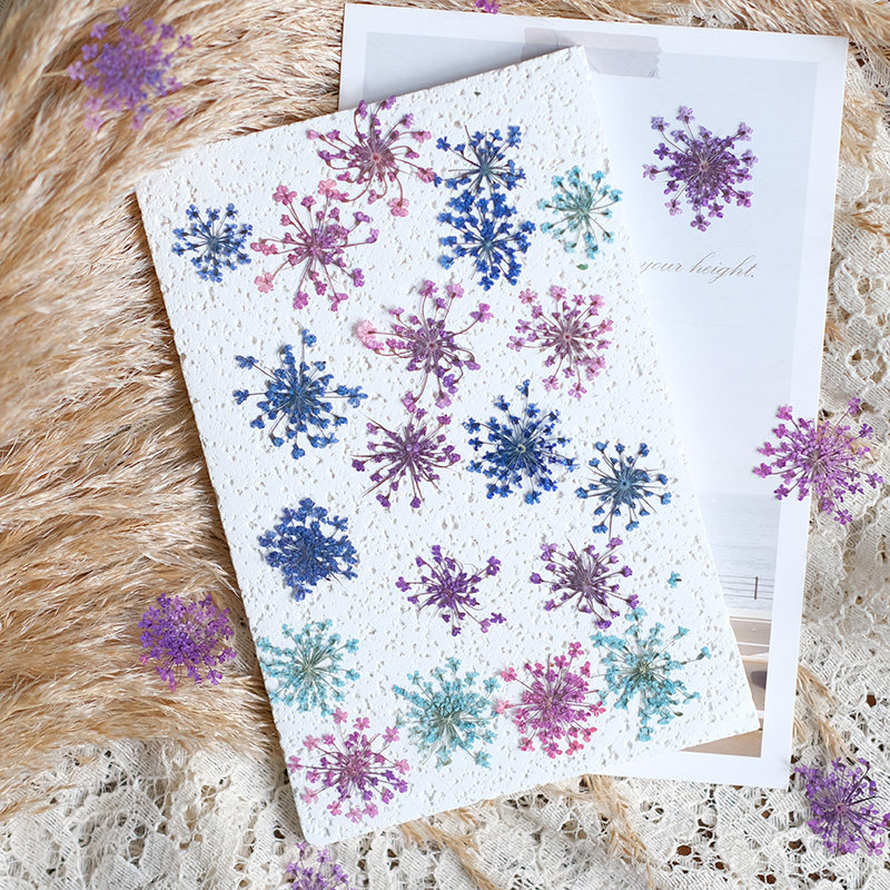 24pcs,2-2.5cm,nature Dyed Mini - Nail Art Natural ulasan dan harga