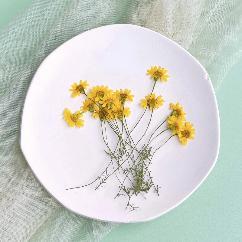 6-10cm/24pcs,nature pressed Ch - Nail Art Natural ulasan dan harga
