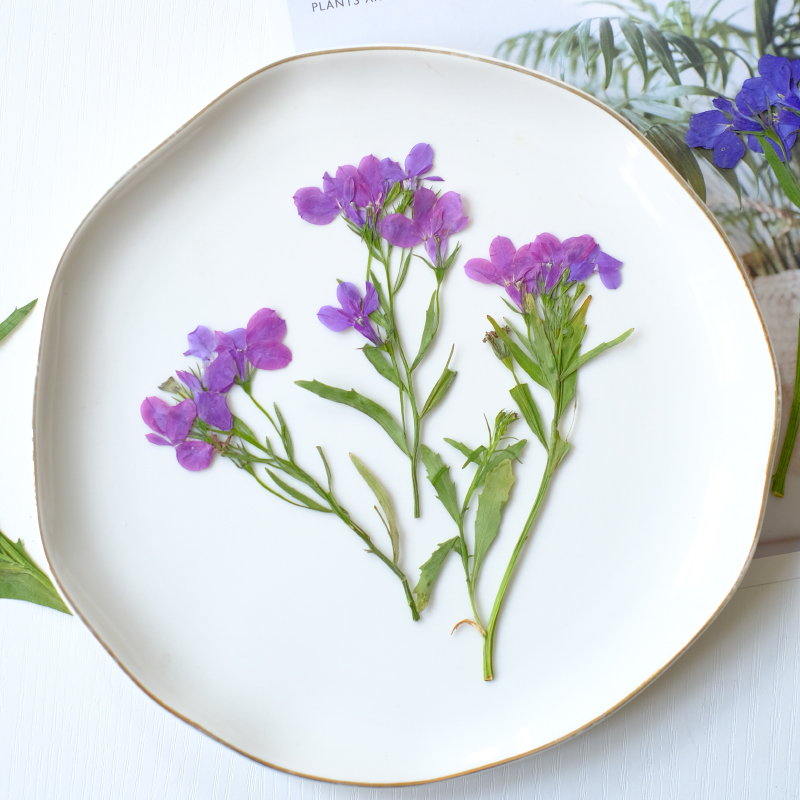 6pcs/8-13cm,nature Lobelia Eri - Nail Art Natural ulasan dan harga